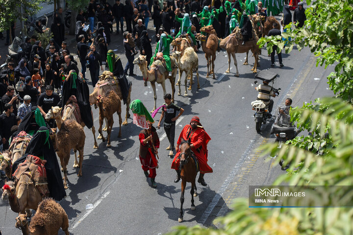 کاروان طایفه بنی اسد