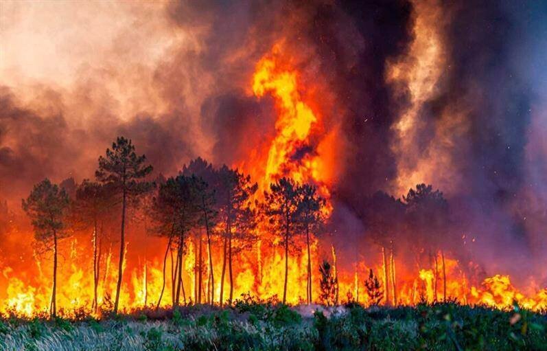 این کشورها بیشترین آسیب را از گرمای جهانی دیدهاند