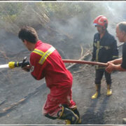 حریق در پارک جنگلی سی‌سنگان نوشهر مهار شد