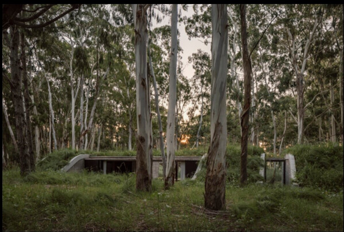 معماری پایدار در دل مناظر طبیعی آرژانتین