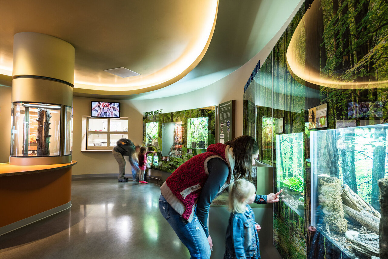 مکانهایی که معماری را به تجربهای فراموشنشدنی تبدیل کردند