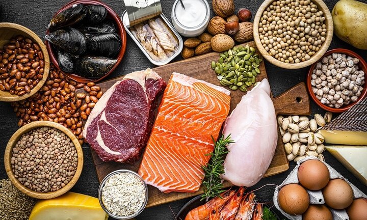 چه مواد غذایی حاوی پروتئین است؟