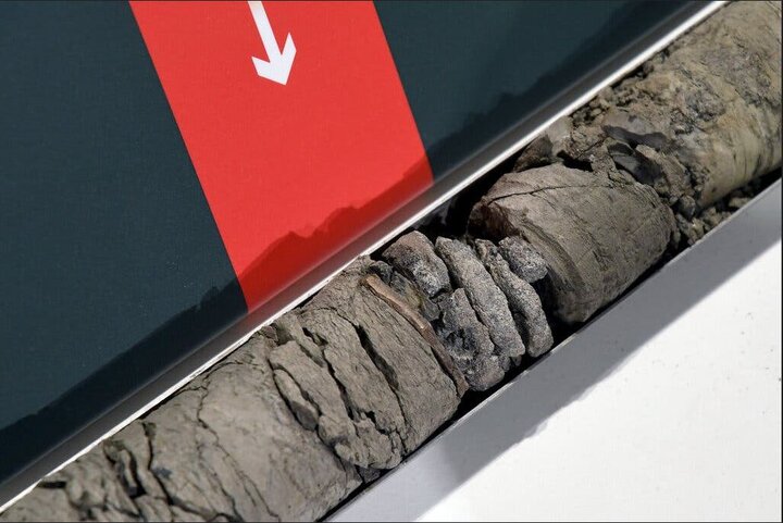 کشف فسیل دایناسور ۷۰ میلیون ساله زیر پارکینگ موزه علوم