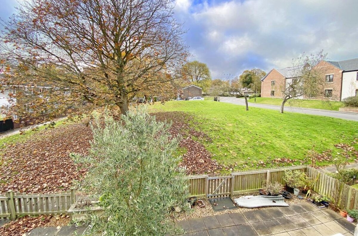 نقش کمربندهای سبز در حفظ تنوع زیستی شهری