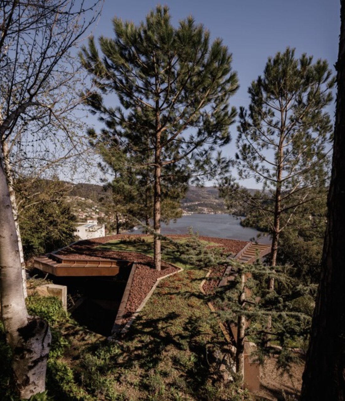 معماری چوبی با ردپای کربن کم و احترام به اکوسیستم