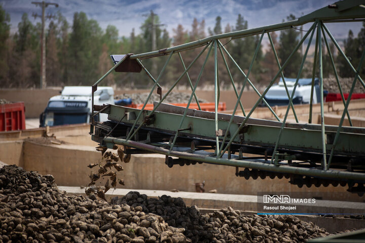 کارخانه قند نقش جهان