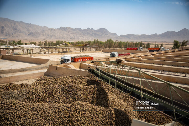 کارخانه قند نقش جهان