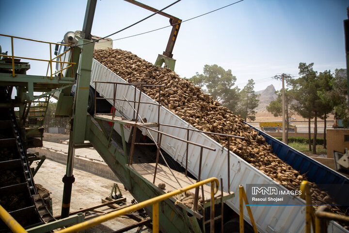 کارخانه قند نقش جهان
