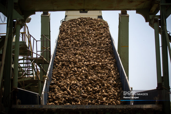 کارخانه قند نقش جهان