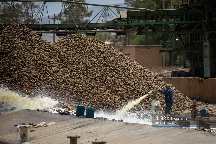 کارخانه قند نقش جهان