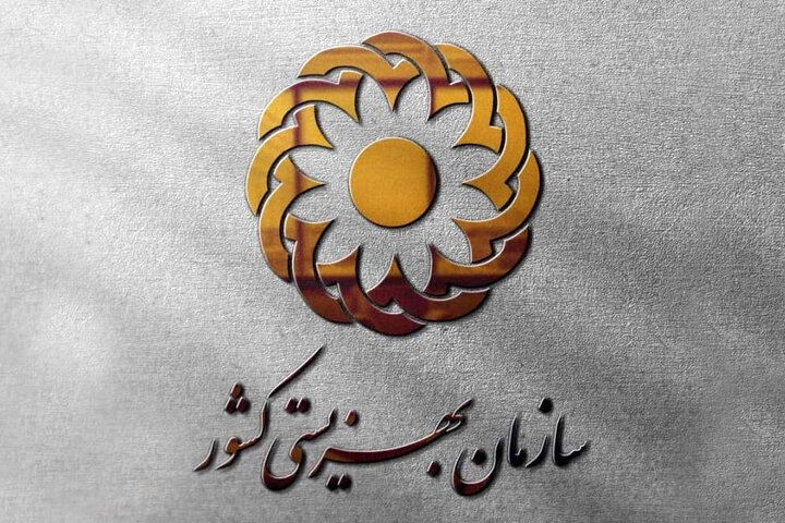 ضرورت سرمایهگذاری در رفاه کودکان/ ارائه بیش از ۶۰ نوع خدمت در بهزیستی به نوجوانان ضرورت سرمایهگذاری در رفاه کودکان/ ارائه بیش از ۶۰ نوع خدمت در بهزیستی به نوجوانان