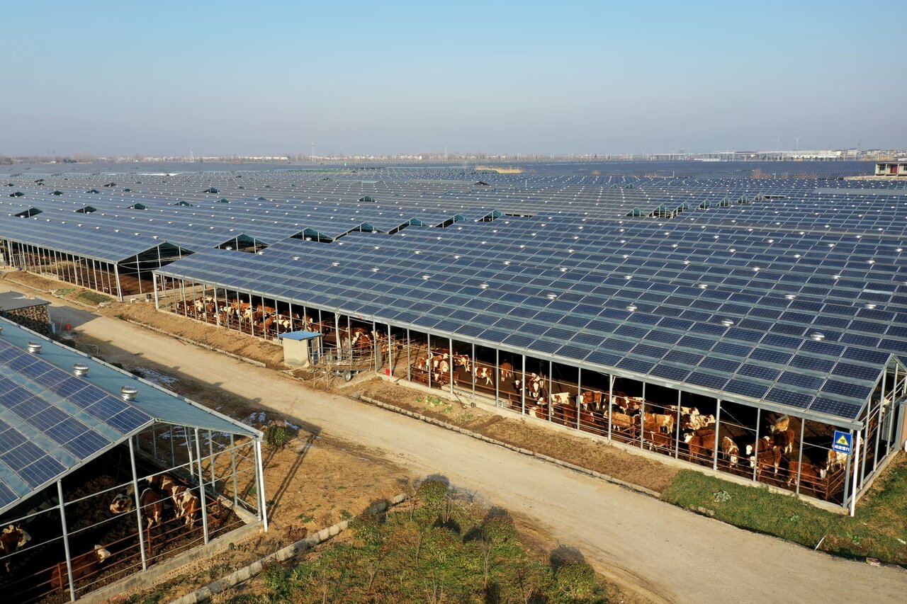 چین، غول بیرقیب پروژههای عظیم انرژی پاک در جهان