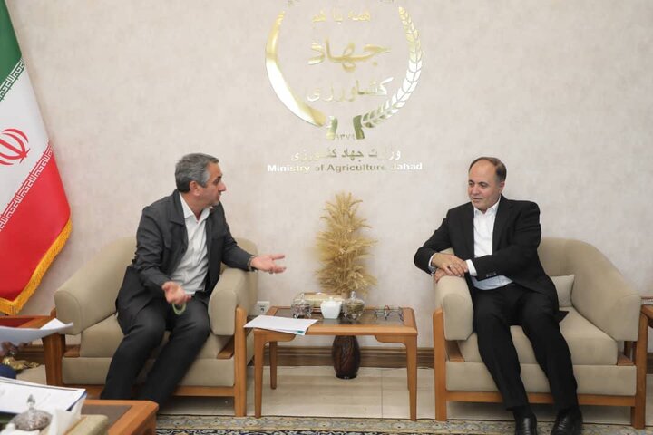 تلاش وزرات جهاد کشاورزی برای حفظ ثبات در بازار