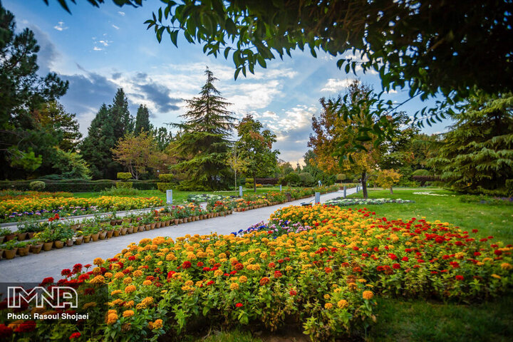 کرمان، پیشگام در استفاده از فاضلاب خام برای آبیاری فضای سبز