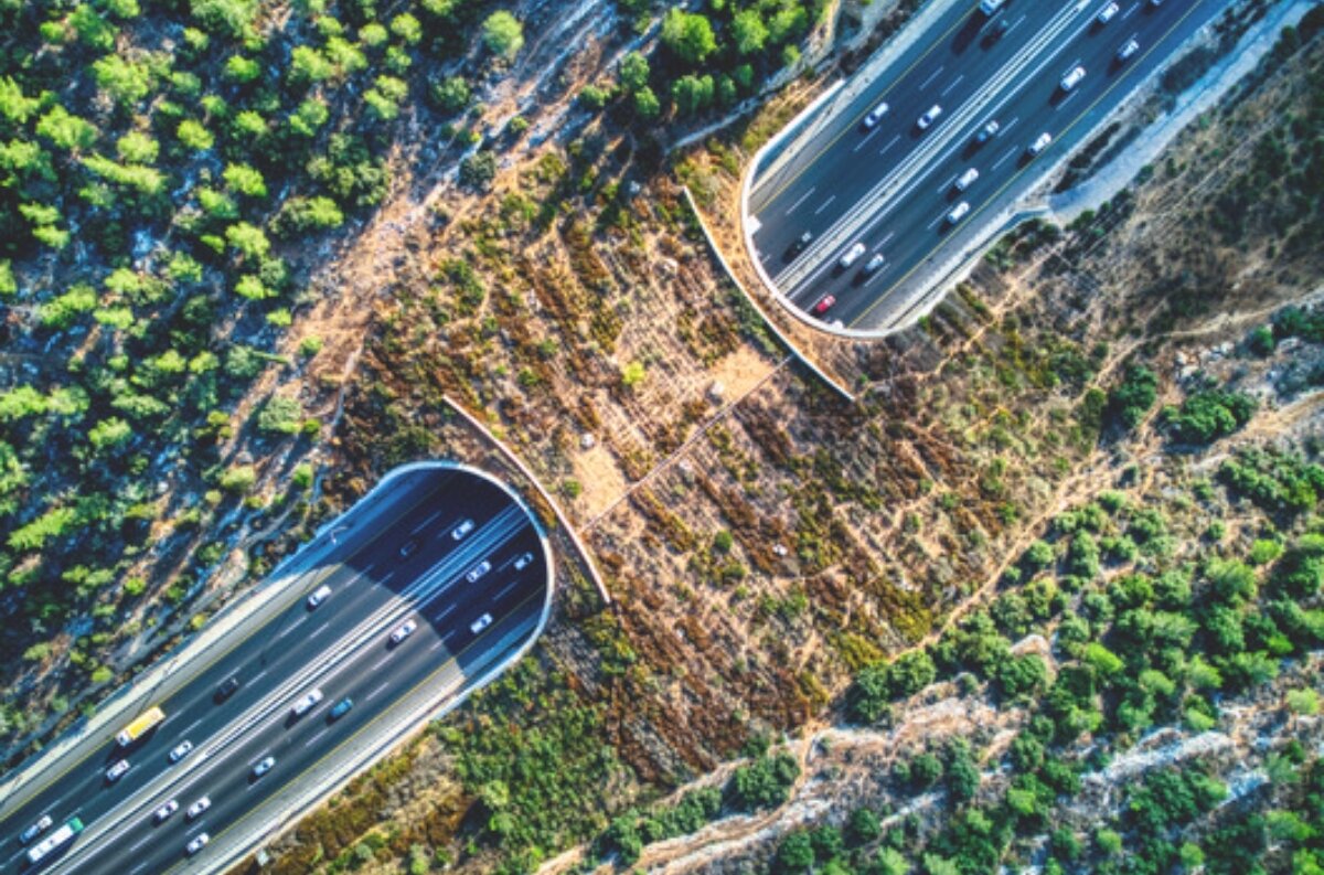 معماری در عصر بیثباتی اقلیمی؛ بازاندیشی در رویکرد بازیابی اکوسیستم