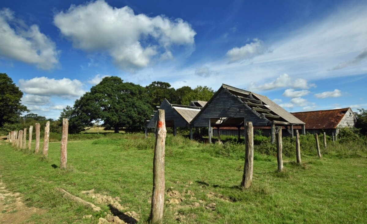 معماری در عصر بیثباتی اقلیمی؛ بازاندیشی در رویکرد بازیابی اکوسیستم