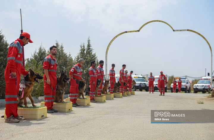 سگ‌های جست‌وجو و نجات جمعیت هلال احمر