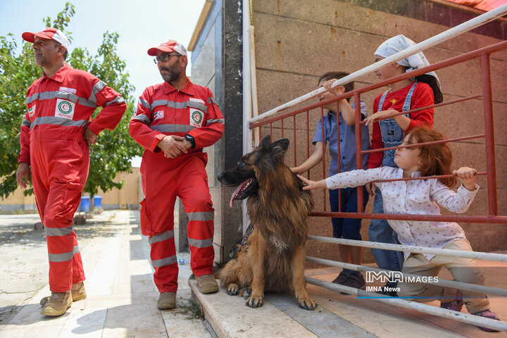 سگ‌های جست‌وجو و نجات جمعیت هلال احمر