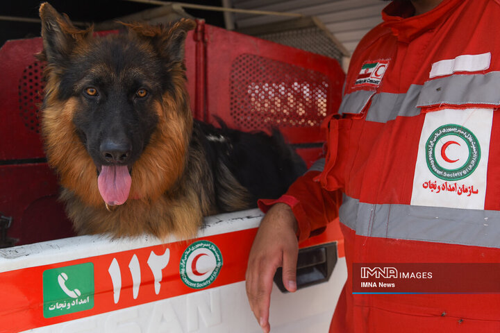 سگ‌های جست‌وجو و نجات جمعیت هلال احمر