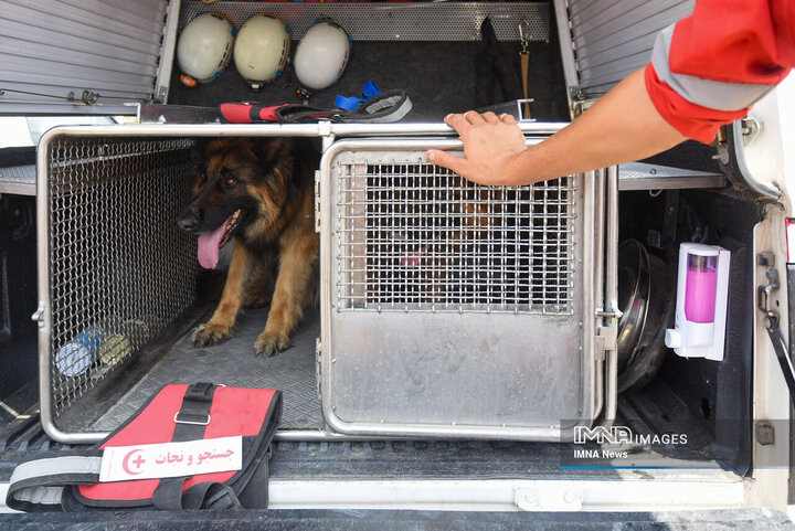 سگ‌های جست‌وجو و نجات جمعیت هلال احمر