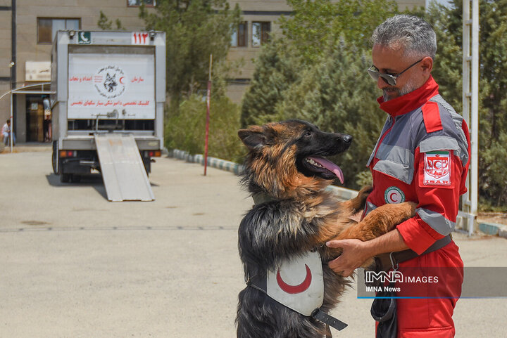 سگ‌های جست‌وجو و نجات جمعیت هلال احمر