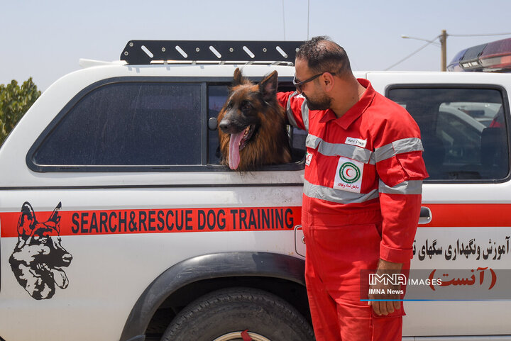 سگ‌های جست‌وجو و نجات جمعیت هلال احمر