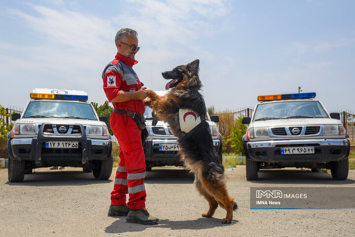 سگ‌های جست‌وجو و نجات جمعیت هلال احمر