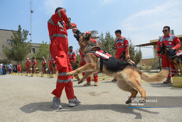 سگ‌های جست‌وجو و نجات جمعیت هلال احمر