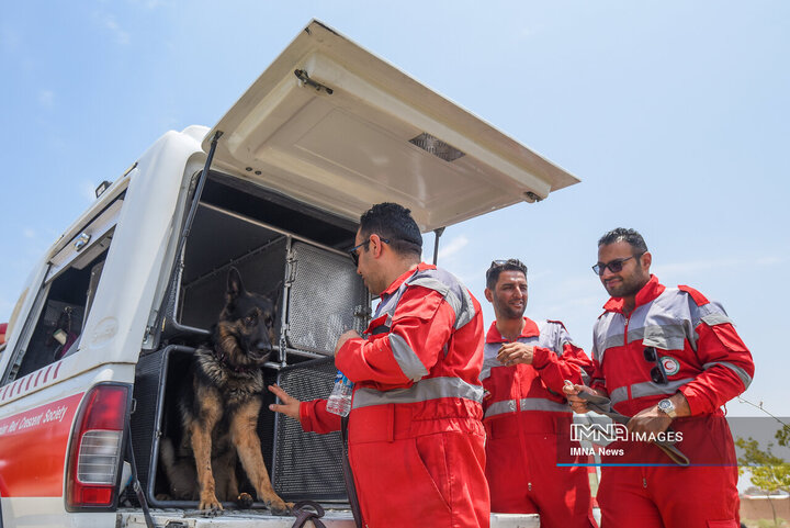 سگ‌های جست‌وجو و نجات جمعیت هلال احمر