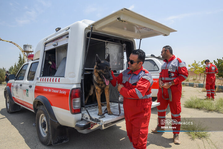 سگ‌های جست‌وجو و نجات جمعیت هلال احمر