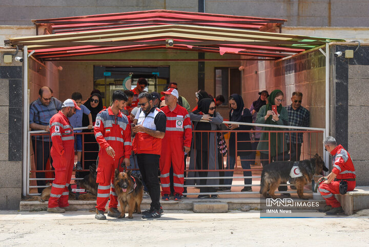 سگ‌های جست‌وجو و نجات جمعیت هلال احمر