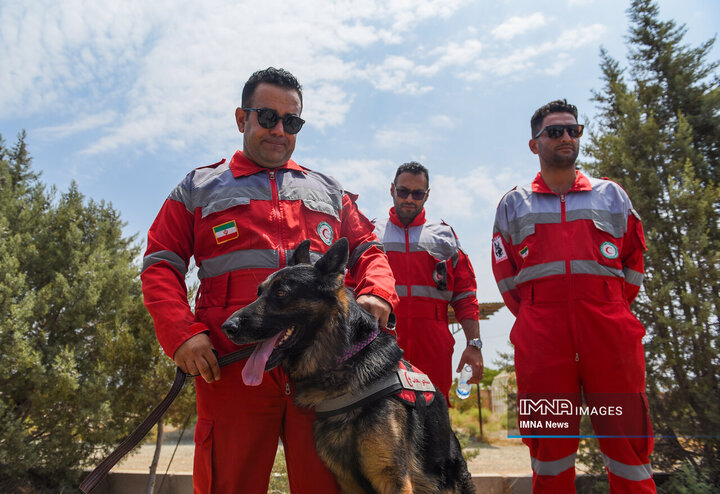 سگ‌های جست‌وجو و نجات جمعیت هلال احمر