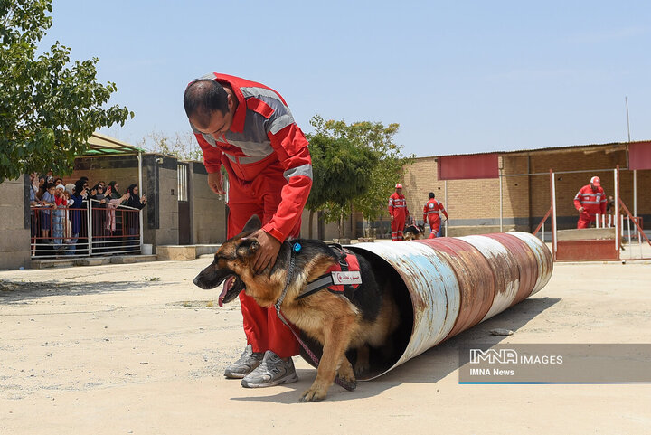 سگ‌های جست‌وجو و نجات جمعیت هلال احمر