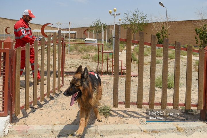 سگ‌های جست‌وجو و نجات جمعیت هلال احمر