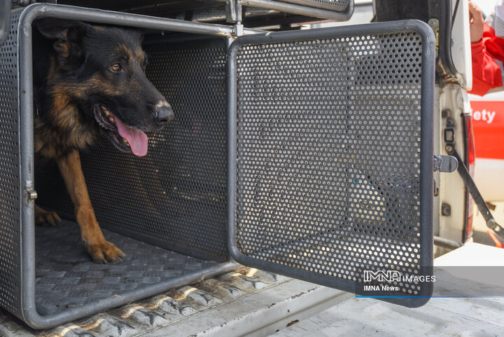 سگ‌های جست‌وجو و نجات جمعیت هلال احمر