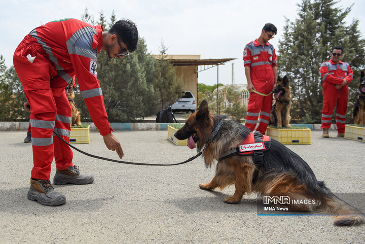 سگ‌های جست‌وجو و نجات جمعیت هلال احمر
