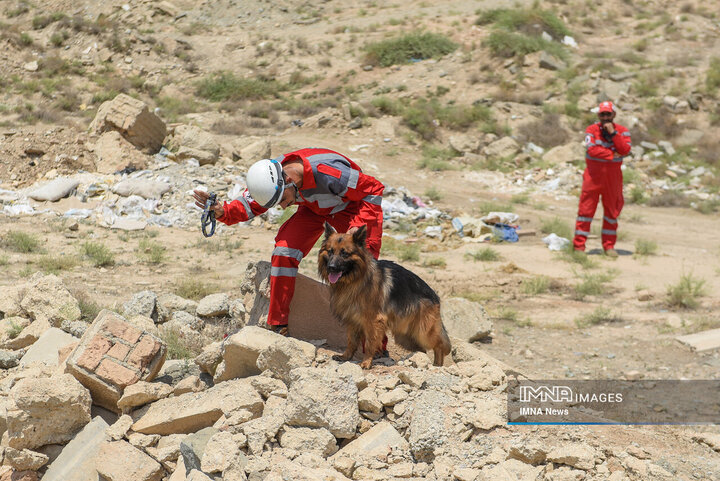 سگ‌های جست‌وجو و نجات جمعیت هلال احمر