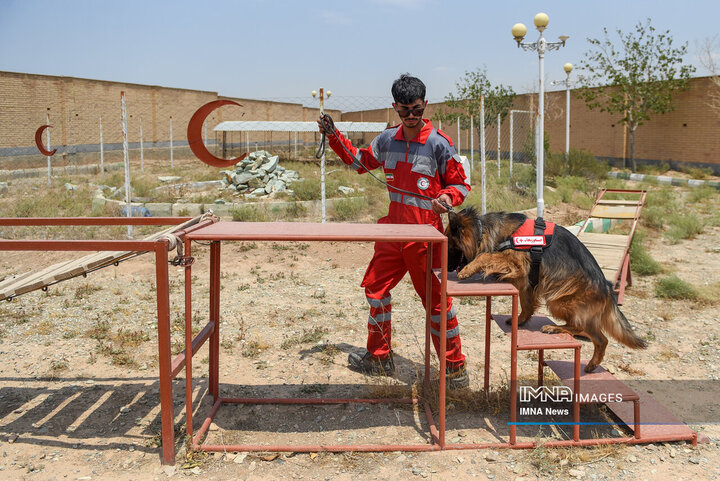 سگ‌های جست‌وجو و نجات جمعیت هلال احمر