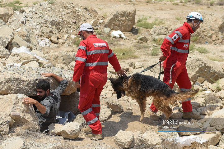 سگ‌های جست‌وجو و نجات جمعیت هلال احمر