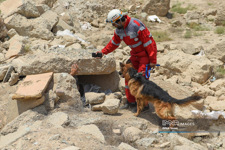 سگ‌های جست‌وجو و نجات جمعیت هلال احمر