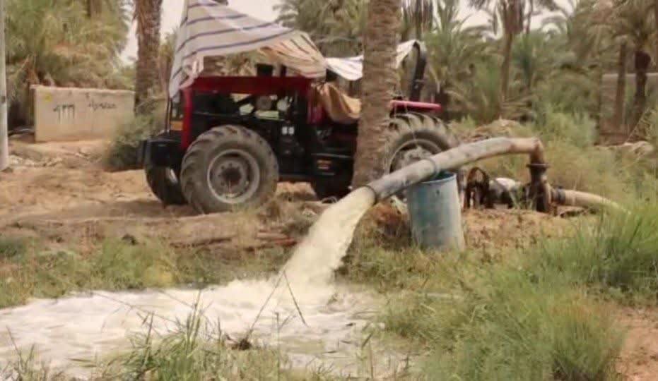 نخل‌های شادگان سیراب شدند