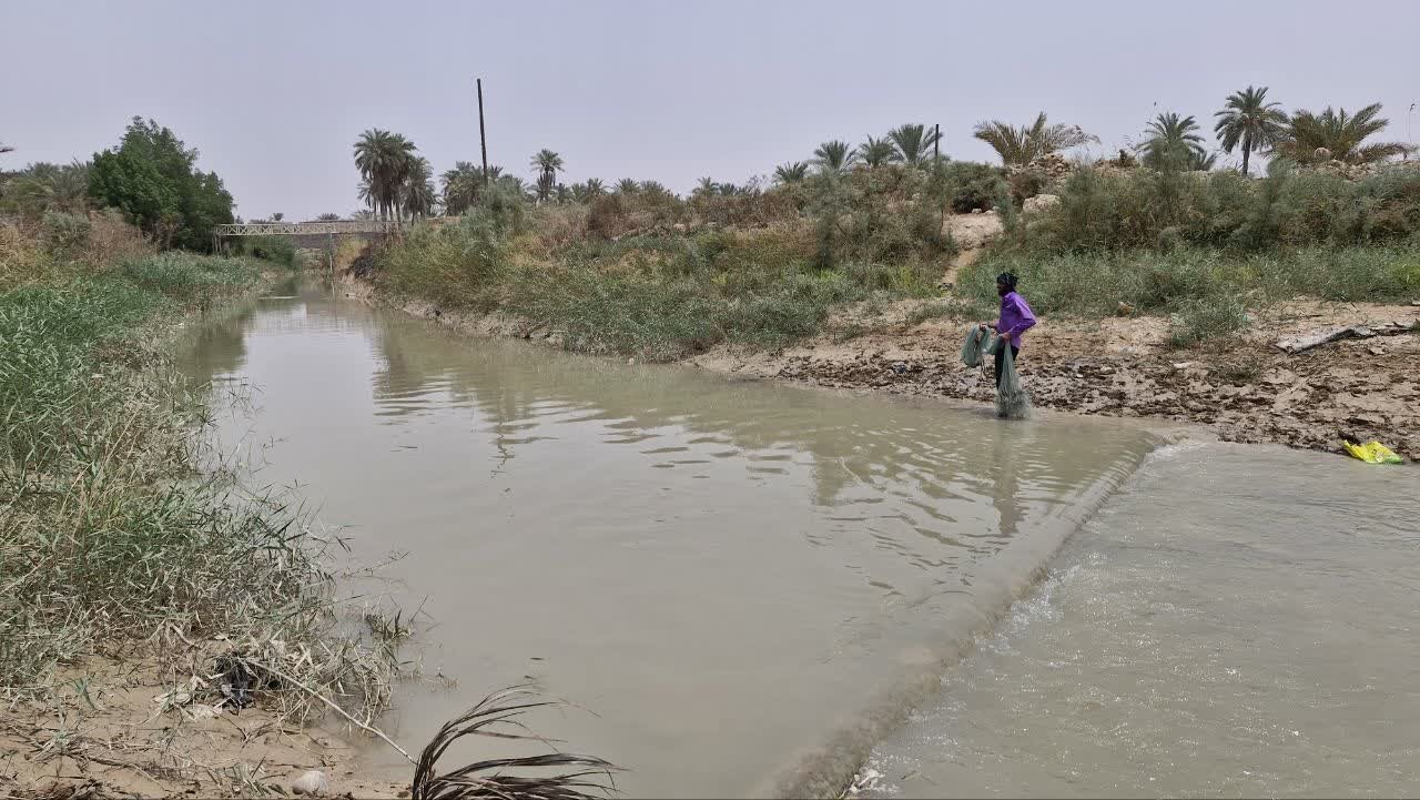 نخلهای شادگان سیراب شدند