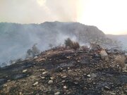 مهار شعله‌های آتش در کوه «دیل» پس از ۳ روز