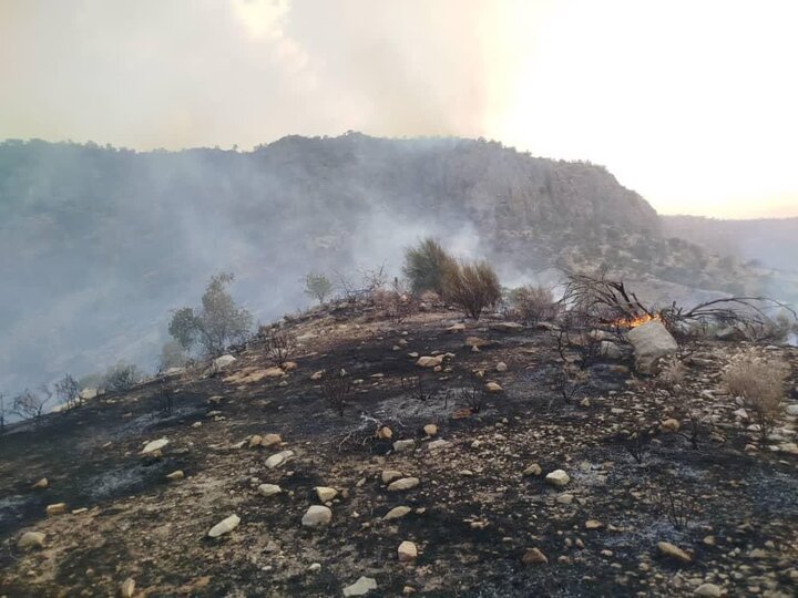 مهار شعله‌های آتش در کوه «دیل» پس از ۳ روز