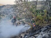 مهار حریق در منطقه حفاظت شده آق داغ / ۲۰ هکتار از مراتع ملی طعمه حریق شد