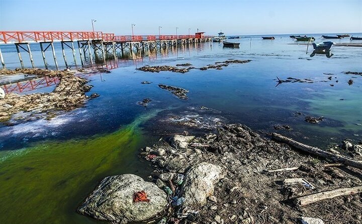 خلیج گرگان؛ آزمون جدی مدیریت زیست‌محیطی کشور