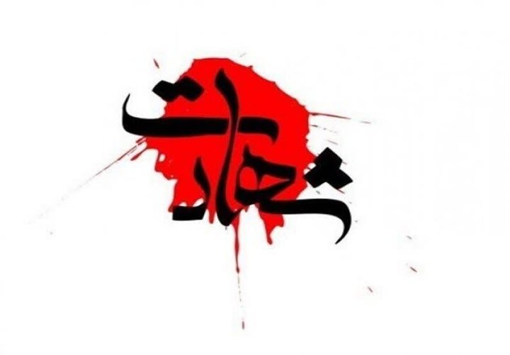 شهادت مرزبان هنگ مرزی بانه در درگیری با گروهک معاند نظام