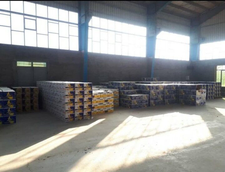 محکومیت ۱۱ میلیارد ریالی متخلف ثبت نکردن کالا و نگهداری غیرمجاز