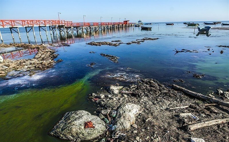 خلیج گرگان در گوشه رینگ حملات انسانی / این بار آلایندهها خلیج را به مرگ تهدید میکند