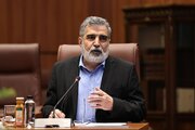 کمالوندی: صنعت هسته‌ای در کشور ما ریشه دارد و دوباره خودش را شکوفا می‌کند
